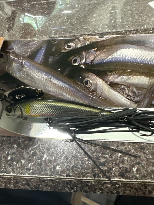 Imakatsu Alive Chatter 70 Sinking #135 Real Ayu 10g .35oz. Very Hard To Find Discontinued JDM Chatter With Hard Minnow Attached. NIP