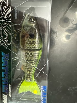 Gan Craft Ratchet 184 #RF-11 Belial GM Chart Gill. Gorgeous, Super Realistic “Realive” Print. S-Swimming 180mm 2.5oz Class.
