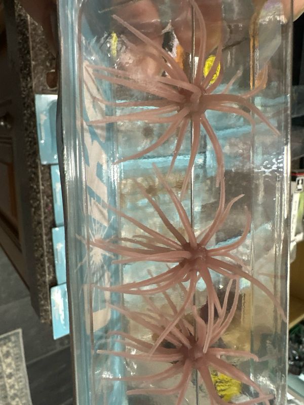 Hideup Coike Soft Material Original 3 Elastomer Urchin Baits Per Pack. NIP