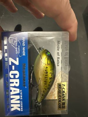 Megabass Z-Crank Blue Label “Bass”. Hand Carved Balsa Wood. Discontinued &amp; Hard To Find. NIB.