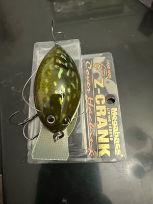 Megabass Z-Crank Cover Hacking. Ito Gori. New But Box Quite Torn Up. Exact Bait In Pics