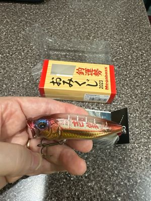 Megabass Pop Max Limited (SP-C) 2023 See Through Medetai. Exact Bait In Pictures. Brand New In Box.