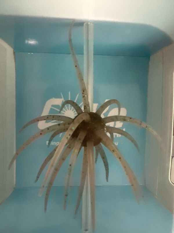 HideUp Coike 17mm Soft Material #243 Tamaranbai Dark Shrimp