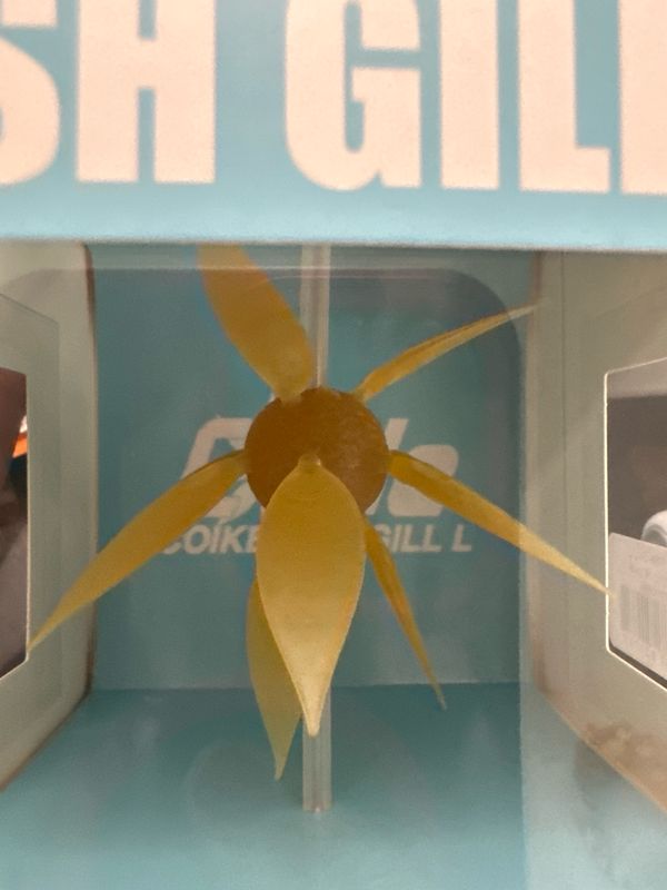 HideUp Coike Fish Gill L #263 Kuririn Kintoki