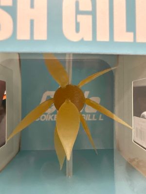 HideUp Coike Fish Gill L #263 Kuririn Kintoki