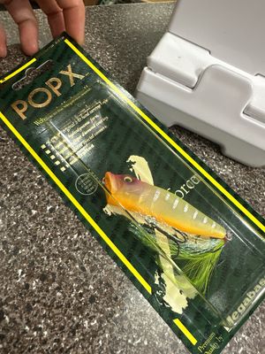 Megabass Pop X (SP-C) #809 IF Hachiro 64mm | 1/4oz