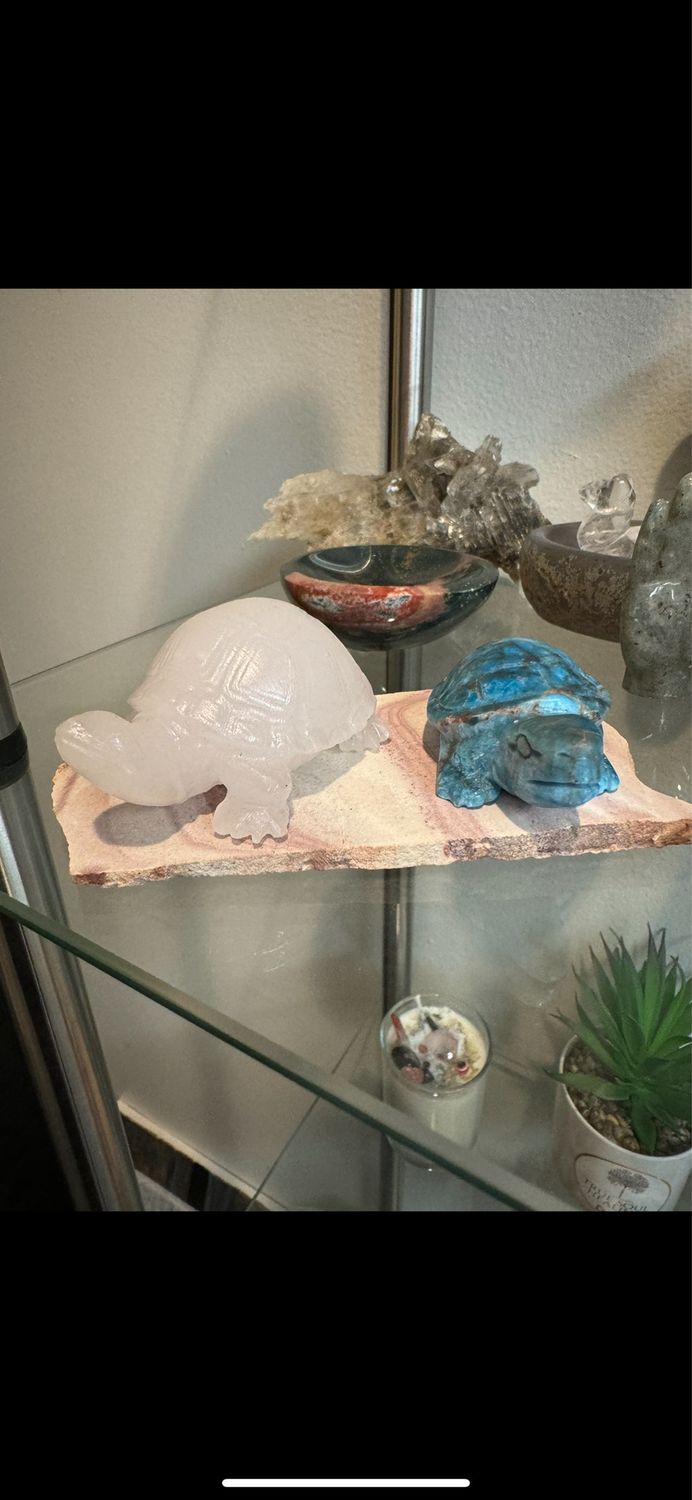 Amazonite Medium Turtle