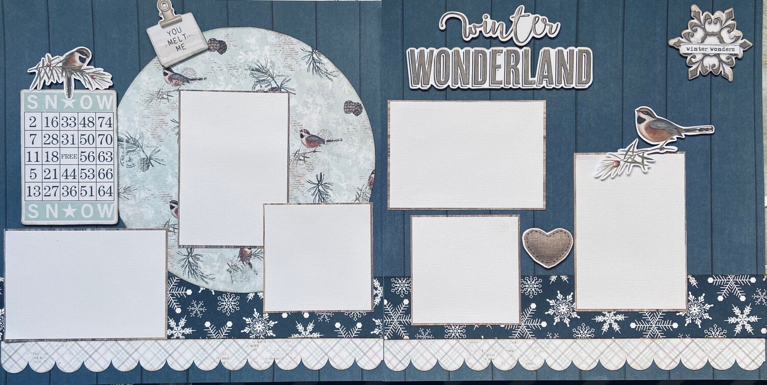 Winter wonderland