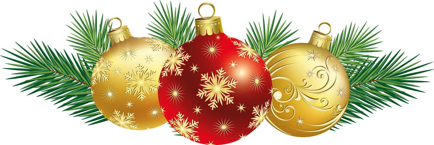 November 14 all-day crop