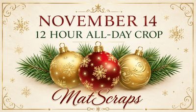 November 14 all-day crop