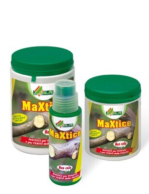 Mastic Maxtice Alfe Natura 250 g - Jar with brush