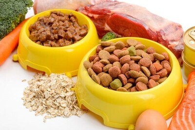 Foods