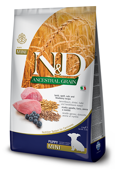 Farmina N&amp;D Ancestral Dog Lamb And Blueberry Puppy Mini 800 Gr