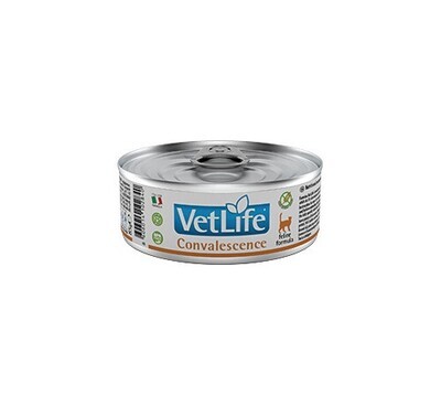 Farmina Vet Life Natural Diet Cat Convalescence 85gr