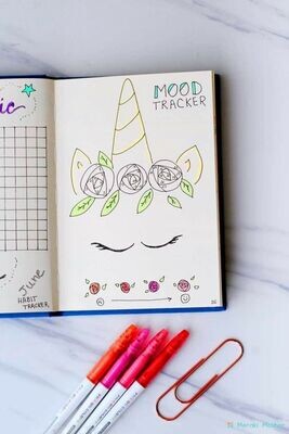 School diaries