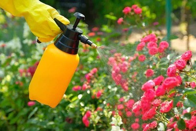 Insecticides