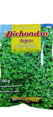 DICHONDRA REPENS SEEDS THE DWARF LAWN SOFT AND COMPACT GR.100