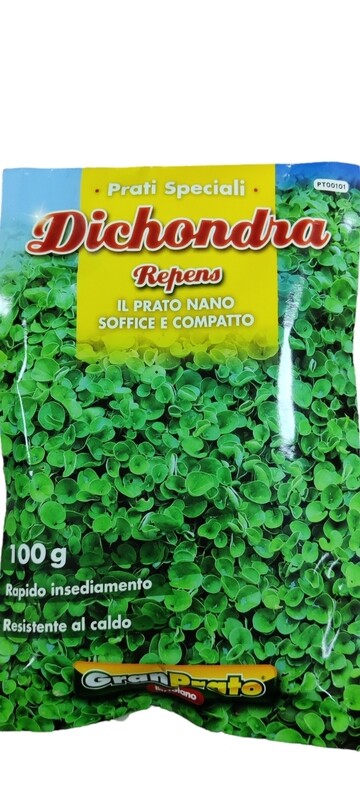 DICHONDRA REPENS SEEDS THE DWARF LAWN SOFT AND COMPACT GR.100