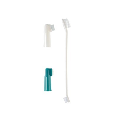 Gimborn - ASSORTED TOOTH BRUSHES SET