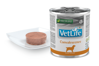 Farmina Vet Life Natural Diet Dog Convalescence 300gr