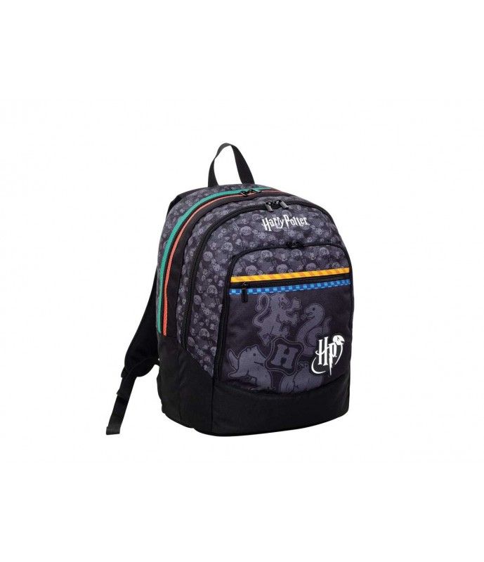 Harry Potter school backpack with double compartment