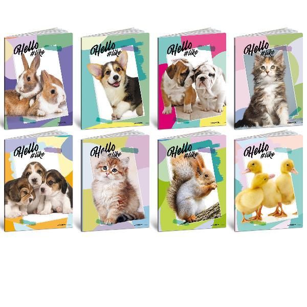 Blasetti notebooks HELLO PETS 100G 24FF+1 ruled 0Q