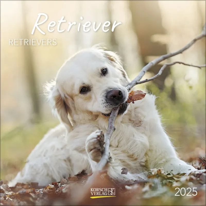 Calendario 2025 &quot;Cuccioli Retriever&quot;