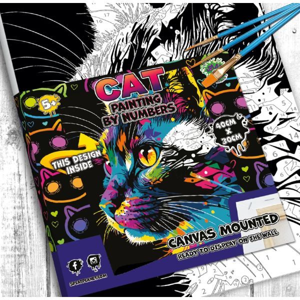 Painting By Numbers - Cat - Splatplanet