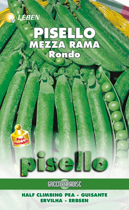 Leben - Half Rama Rondo Pea Seed