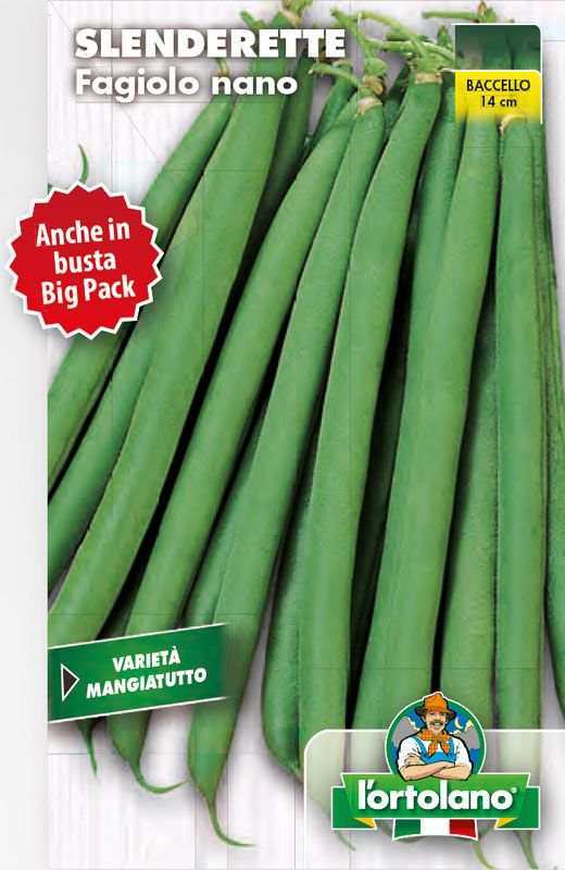 Dwarf Slenderette Bean Seed - The Hortolano