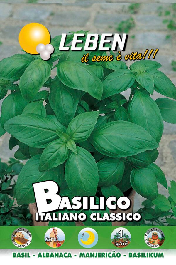 Seed of ITALIAN BASILIC CLASSIC - Leben