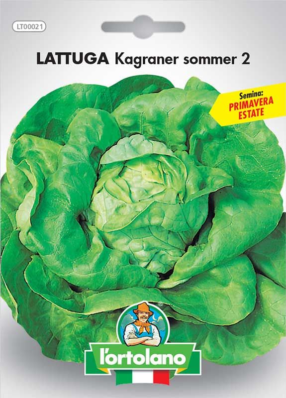 LETTUCE Seed Kagraner Sommer 2 - The Hortolano