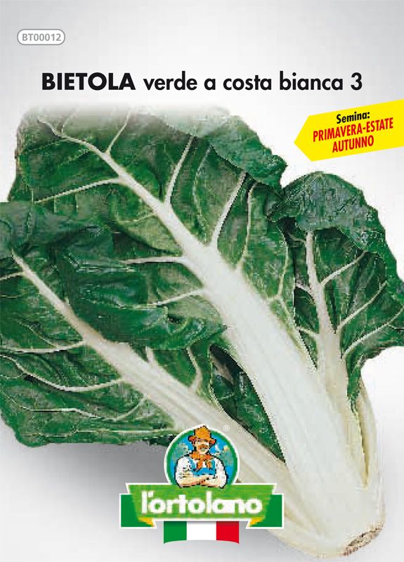 BIETOLA seed from green coast to white coast 3 - The Hortolano