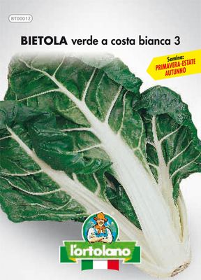 BIETOLA seed from green coast to white coast 3 - The Hortolano