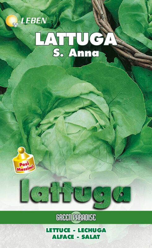 LATTUGA S.ANNA Seed - Leben