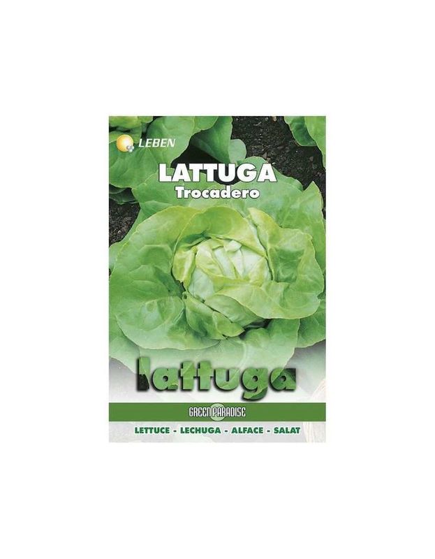 Trocadero Lettuce Seed - Leben