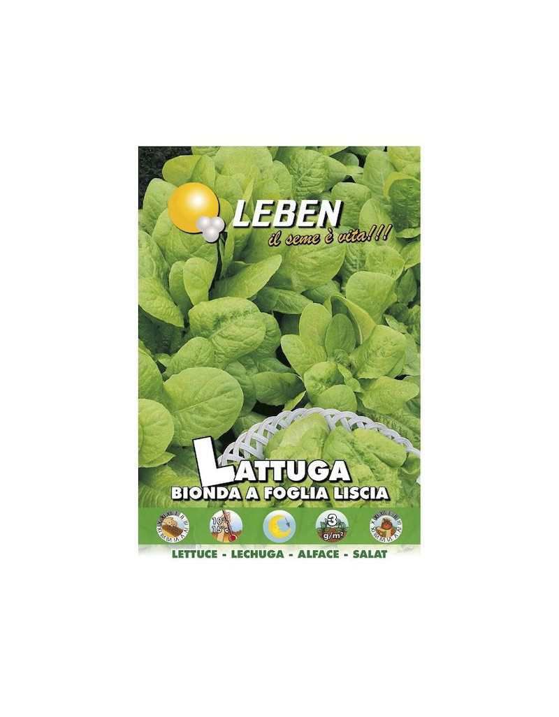 Smooth Leaf Blonde Lettuce Seed - Leben