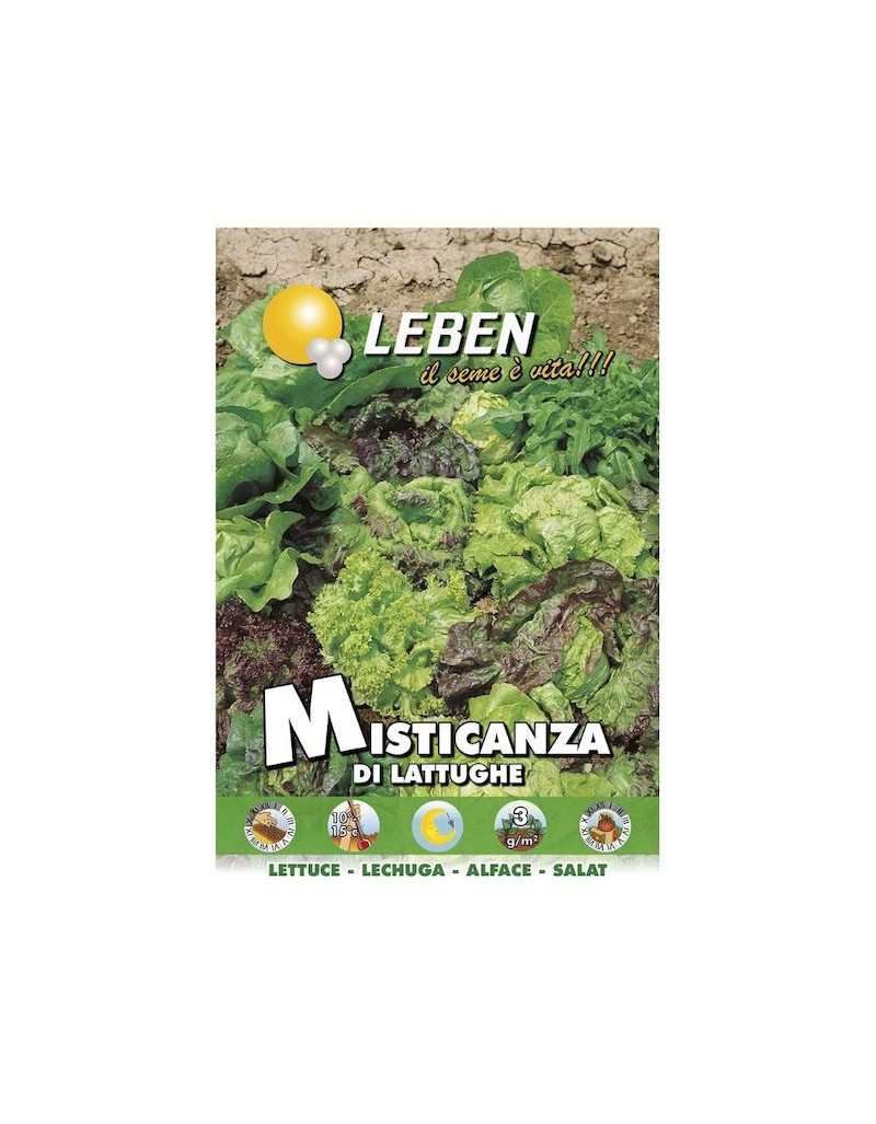 LITTLE LETTUCE SEEDS - Leben