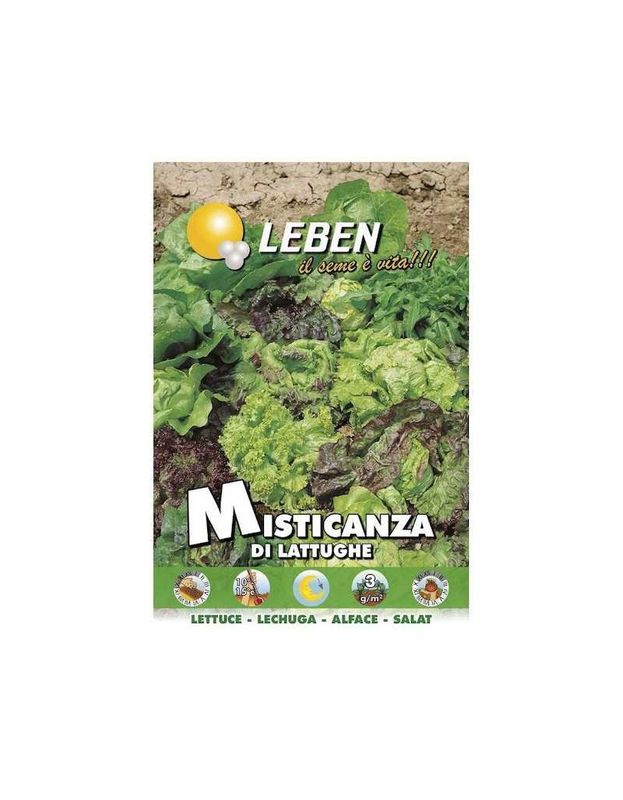 LITTLE LETTUCE SEEDS - Leben