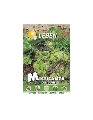 LITTLE LETTUCE SEEDS - Leben