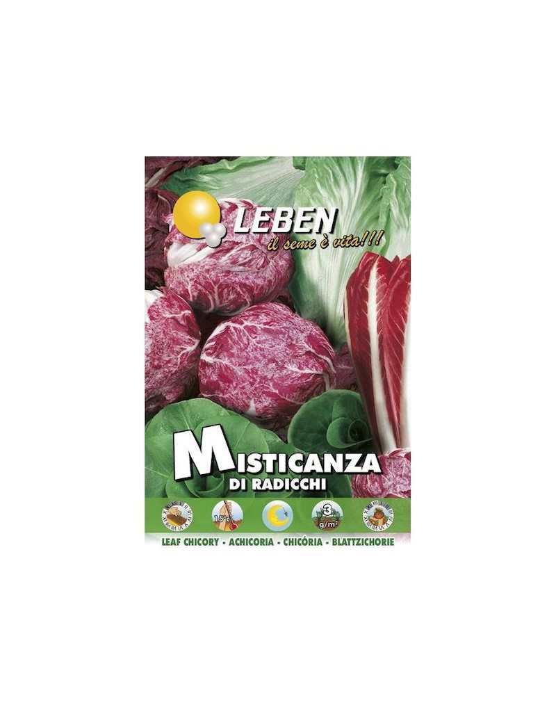 SEED OF RADICCHI MISTICANZA - Leben