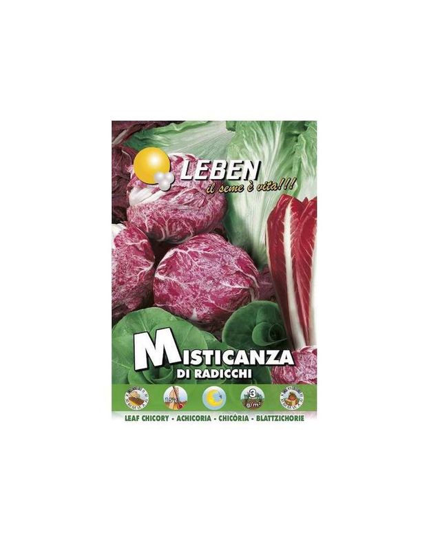SEED OF RADICCHI MISTICANZA - Leben