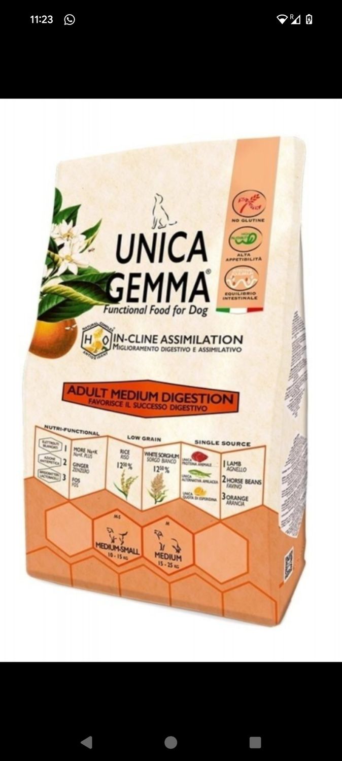 Gheda - Adult Medium Digestion Dry 10kg