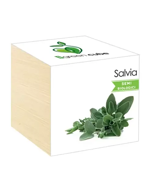 iGreen Cube Flowers &amp; Plants in Wooden Cubes - Sage