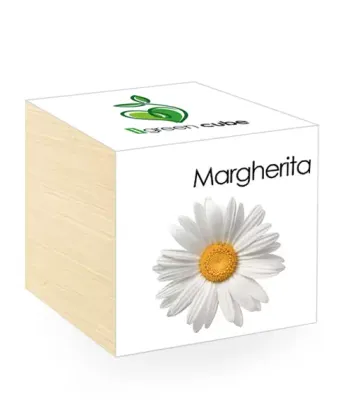 iGreen Cube Flowers &amp; Plants in Wooden Cubes - Daisy Flower