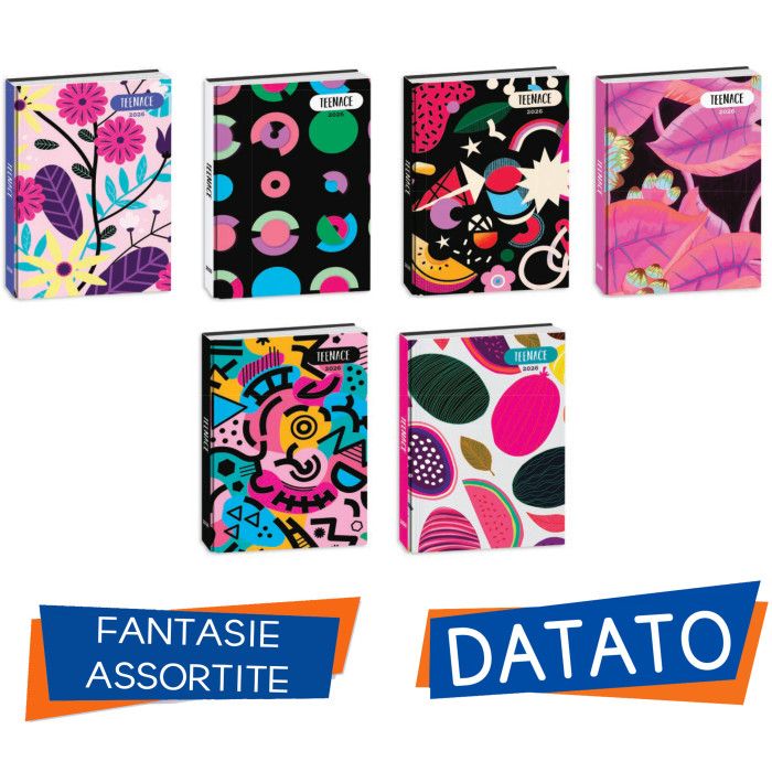 DIARY 12 MONTH TEENACE DIARY 2025-2026 Standard Dimension