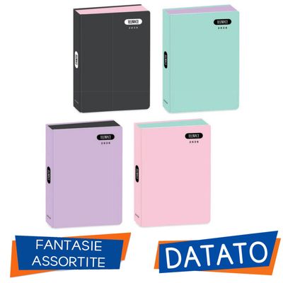 DIARY 12 MONTH TEENACE Pastel DIARY 2025-2026 Standard Dimension