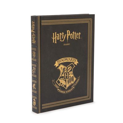 Harry Potter - Standard Size Diary