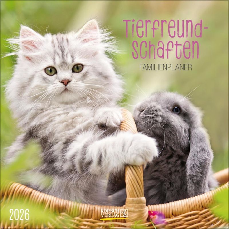2026 Cats CALENDAR 30 X 30 CM wall