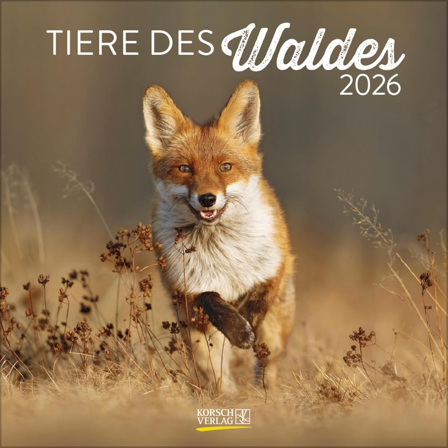 2026 Wild Animals CALENDAR 30 X 30 CM wall